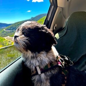 CLOSET CLEAN OUT!!!!*********